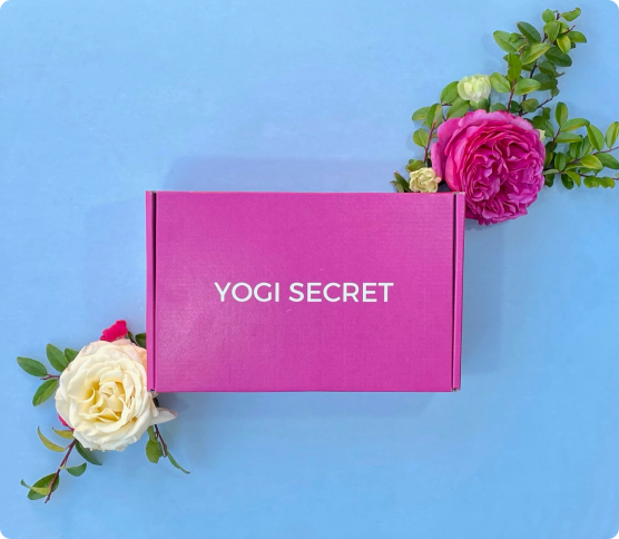 Yogi Secret  Yogi Secret